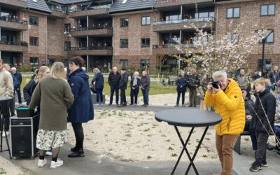 En dejlig lørdag formiddag på Hærvejen
